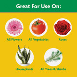 Miracle-Gro 10 Lb. Water Soluble All Purpose Plant Food 1001193 759389