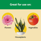Miracle-Gro Shake 'n Feed 4.5 Lb. All Purpose Plant Food 3001910 766317