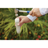Miracle-Gro Fruit & Citrus Plant Food Spikes (12-Pack)