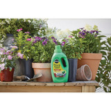 Miracle-Gro Pour & Feed 32 Oz. Liquid Plant Food