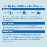 Miracle-Gro Miracid 4 Lb. Water Soluble Acid-Loving Plant Food 1850011 766415