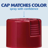 Painter's Touch Gls Cranbrry Spray Paint 334051 772158