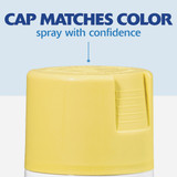 Painter's Touch Sat Lemon Grs Spry Paint 334081 772201