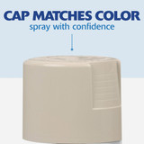 Painter's Touch Cottage Wht Spray Paint 334040 787444