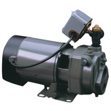 Do it Best 1 HP Cast Iron Water Convertible Well Jet Pump JHU10