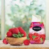 Renuzit 7 Oz. Raspberry Solid Air Freshener 43111 606170