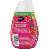 Renuzit 7 Oz. Raspberry Solid Air Freshener 43111 606170