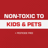 TOMCAT Rat Size Mouse Glue Traps (2-Pack) 0362810 702386