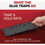 TOMCAT Rat Size Mouse Glue Traps (2-Pack) 0362810 702386