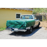 Do it Best 9 Ft. x 9 Ft. Poly Fabric Green Lawn Cleanup Tarp 755648 755648