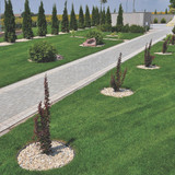 Master Mark Plus  4.5 In. H. x 20 Ft. L. Black Recycled Plastic Lawn Edging 25320 703516
