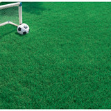 Wonderlawn