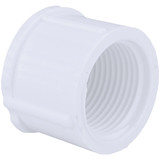 Charlotte Pipe 3/4 In. FIP Schedule 40 Threaded PVC Cap PVC 02117  1000HA