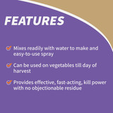 Bonide 8 Oz. Concentrate Pyrethrin Garden Insect Spray 857 763370