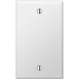Amerelle 1-Gang Standard Stamped Steel Blank Wall Plate, Smooth White C981BW