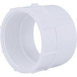 Charlotte Pipe 2 In. Hub x 2 In. FPT Schedule 40 DWV PVC Adapter
