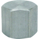 Anvil 1/8 In. Malleable Iron Galvanized Cap 8700132502