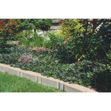 Best Garden 8 Ft. Powder-Coated Green Wire Folding Fence