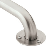 Moen Home Care 18 In. Exposed Screw Grab Bar, Stainless Steel LR7518