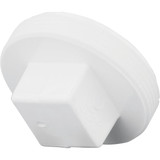 Charlotte Pipe 3 In. Schedule 40 DWV Cleanout PVC Plug PVC 00106  1000HA
