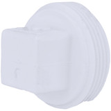 Charlotte Pipe 1-1/2 In. Schedule 40 DWV Cleanout PVC Plug Pack of 10