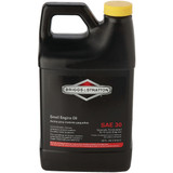 Briggs & Stratton