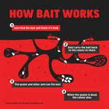 Amdro 1.28 Oz. Solid Ant Bait Stake (8-Pack) 100550455 709193