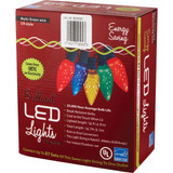 Home Impressions Multi 25-Bulb C9 LED Light Set KT-LED-2424 903590