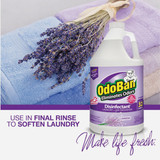 OdoBan 1 Gal. Lavender Washable Surface Sanitizer & Deodorizer Concentrate