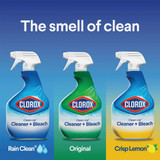 Clorox Clean-Up 32 Oz. All Purpose Cleaner Plus Bleach 31221 644161