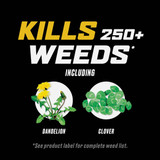 Ortho WeedClear 32 Oz. Ready To Spray Hose End Weed Killer For Lawns 0204910 745183