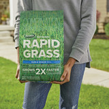 5.6# Rpd Ss Grass Seed