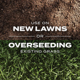Turf Builder 5.6# Rpd Ss Grass Seed 18213 705975