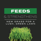 Scotts Turf Builder 4.3 Lb. 1000 Sq. Ft. Triple Action Built For Seeding 23002 717307