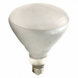 Shat-R-Shield Incandescent Heat Bulb,BR40,125W  125BR40/1