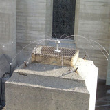 Bird Barrier Bird Repellent,6 ft L,6 ft W DD-6000