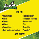 Mean Green 32 Oz. Anti-Bacterial Cleaner MG10532 634631