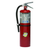 Buckeye Fire Extinguisher,Steel,Red,ABC  11340