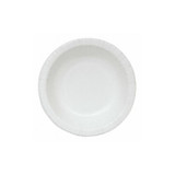 Manufacturer Varies Disposable Paper Plate,10 in,White,PK250 22381