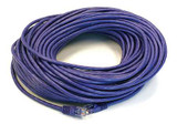 Monoprice Patch Cord,Cat 5e,Booted,Purple,100 ft. 2169