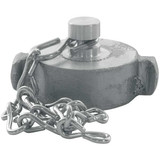 Dixon Hydrant Cap,Brass,Rocker Lug w/Chain,NH RFC250F