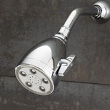 Speakman Shower Head,Bulb,2.5 gpm S-2005-H