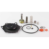 Asco Valve Rebuild Kit,With Instructions 302284