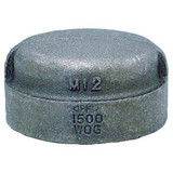 Anvil Round Cap, Malleable Iron, 1/2 in, NPT 0318901303