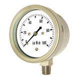 Pic Gauges Low Pressure Gauge,Capsule LP1-SS-402-100