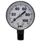 Fimco Pressure Gauge,0 to 100 psi,2In,1/4In 5167007