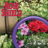 Bonide Rose Shield 1 Qt. Ready To Use Trigger Spray Insect & Disease Killer 982 746560