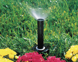 Rain Bird Spray Head for Shrubs,Plastic,6" H  1804F-25