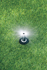 Rain Bird Spray Head for Shrubs,4 in. H,0.1 gpm  1802FDS