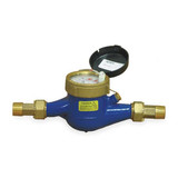 Pulsafeeder Flowmeter,50 GPM,150 PSI,1 In,1.0 PPG MTR304-G